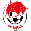 https://img.wo1cy.com/img/football/team/b201265fa89720bf8cd8ef95549a4738.png